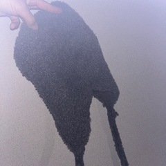 The Green Partyのモフモフ帽子、差し上げます。の画像