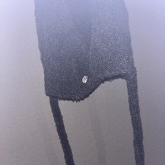 The Green Partyのモフモフ帽子、差し上げます。の画像