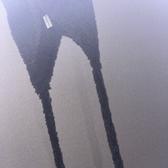 The Green Partyのモフモフ帽子、差し上げます。の画像