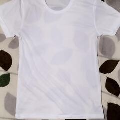 Ｔシャツ Ｍ ２枚 吸水速乾 白 