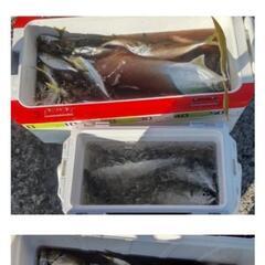 一緒に船釣りに行ける方探しています！