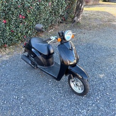 960.　動画あり　ホンダ　トゥデイ AF61 4スト　原付　バイク　50cc 車体　埼玉の画像
