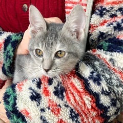 仲良くしてください😊