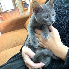 幸せにして💞