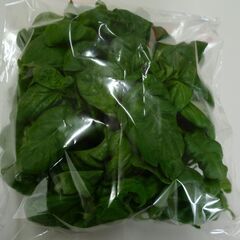 野菜 無料プレゼント！
