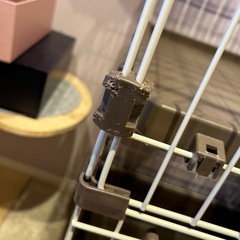 猫　ゲージの画像