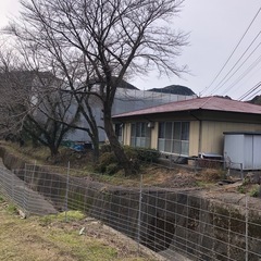 桜の枝下ろしを手伝って切ってください