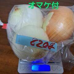 ①減農薬 有機栽培 北杜産 玉ねぎ 820g入り