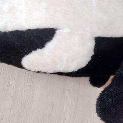 シャチ　ぬいぐるみ　鴨川シーワールドの画像