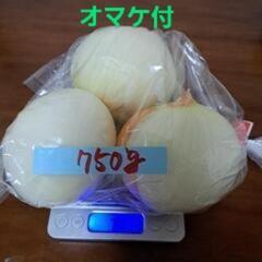 ②減農薬 有機栽培 北杜産 玉ねぎ 750g入り