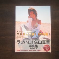 矢口真里　写真集 　値下げしました