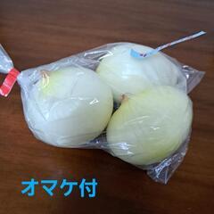 ④減農薬 有機栽培 北杜産 玉ねぎ