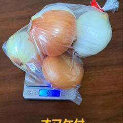 ⑦減農薬 有機栽培 北杜産 玉ねぎ (中玉5個)