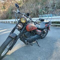 世界に１台　ドラッグスター250　ベティーちゃん号