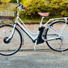 フラシ優勝構築】緑ボニー構築済みデッキリーパラ調整デッキパーツ付き