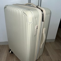 【90%OFF】キャリーケース ホワイト Siffler シフレ JY02147 の画像