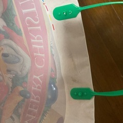 レア　ディズニーランド　の画像