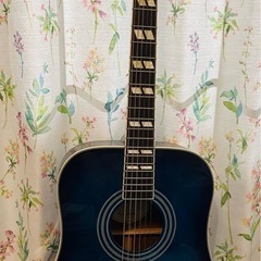 アコースティックギター  初心者 HONEY BEE W-15/...