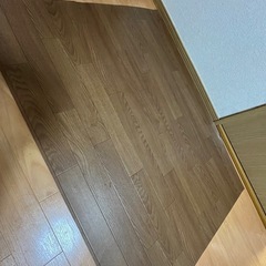 大型インコの鳥かごの画像