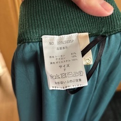 フリーサイズ　ロングスカート【緑色】の画像
