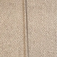 ニトムズ　コロコロの画像