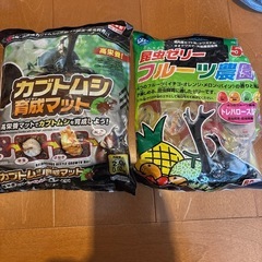 カブトムシ　土　ゼリー　飼育　セット