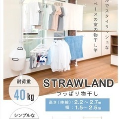 生活雑貨 洗濯用品 物干し竿、ロープ