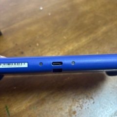 スイッチライト(ジャンク品)の画像