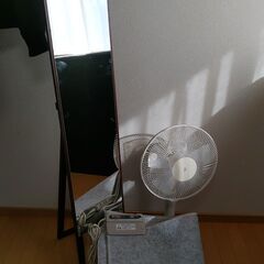 扇風機、鏡、ホットカーペットの画像
