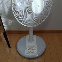 扇風機、鏡、ホットカーペットの画像