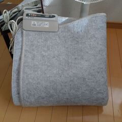 扇風機、鏡、ホットカーペットの画像