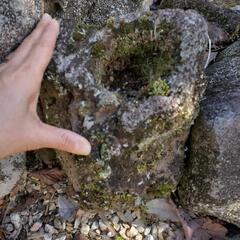 【庭石　溶岩石②】ロックガーデンやアクアリウムにの画像