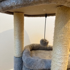 キャットタワーの画像