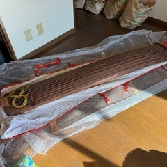 琴