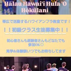 🌺始めるなら今がチャンス❗🌺　ハワイアンフラ✨