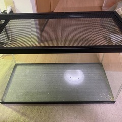 爬虫類ケージ その他(家具)の中古が安い！激安で譲ります・無料