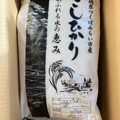 つくばみらい市　コシヒカリ　15kg