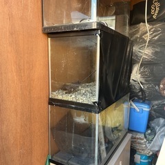 色々です。の画像