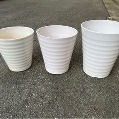 生活雑貨 家庭用品 ガーデニング