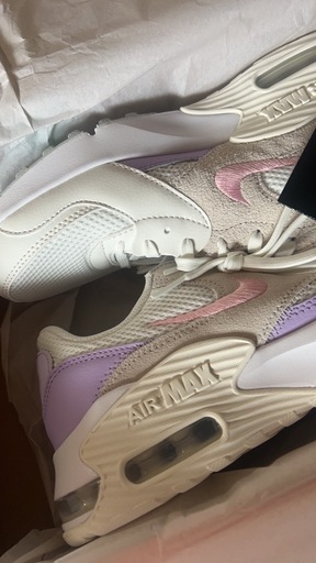 NIKEエアマックスエクシー