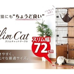 ボンビアルコン (Bonbi) スリムキャットサークル3段　使用...