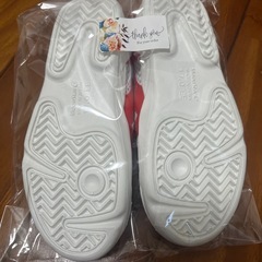 moonstar 上履きの画像