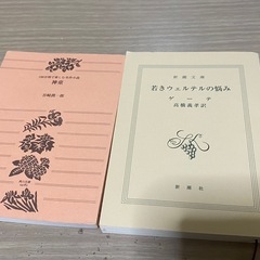 文庫本 ゲーテ 谷崎潤一郎