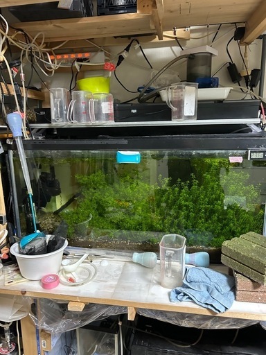 値下げしました　水槽フルセット
