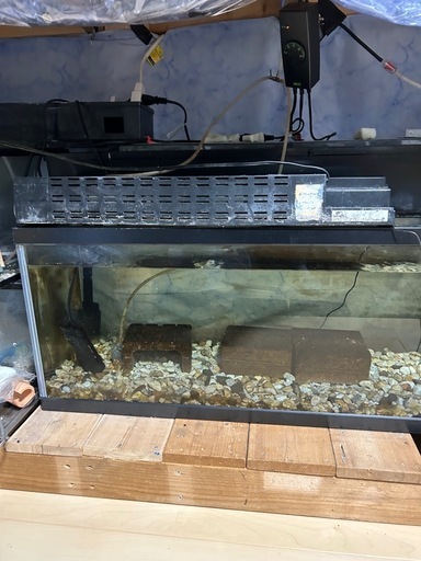 値下げしました　水槽フルセット