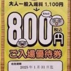 テルメ　入場優待券