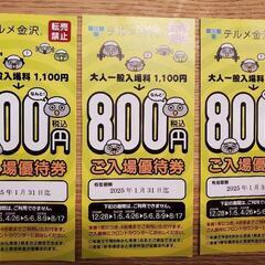 テルメ　入場優待券の画像