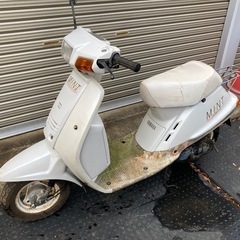 ミント　部品取り