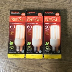 LED電球
