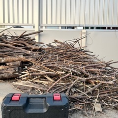 色々な木の切り枝、切り株の画像